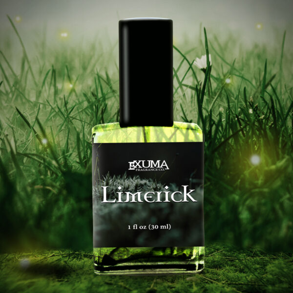 Limerick - Image 7