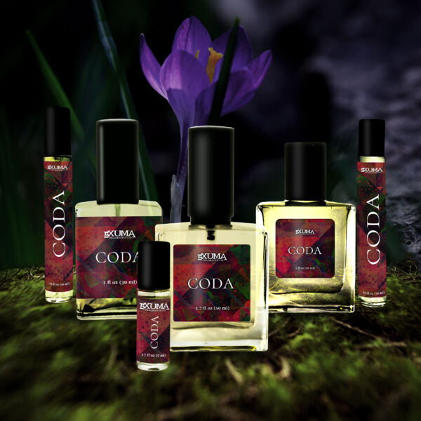 Coda - Image 2