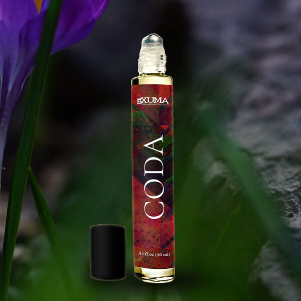 Coda - Image 4