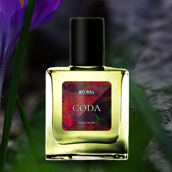 Coda - Image 5