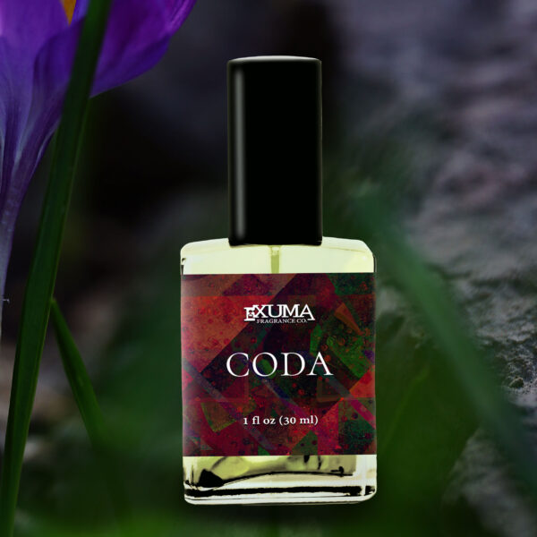 Coda - Image 7
