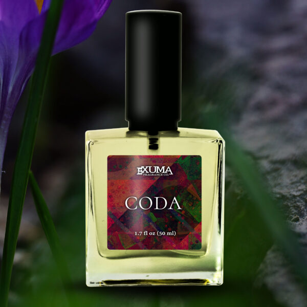 Coda - Image 8