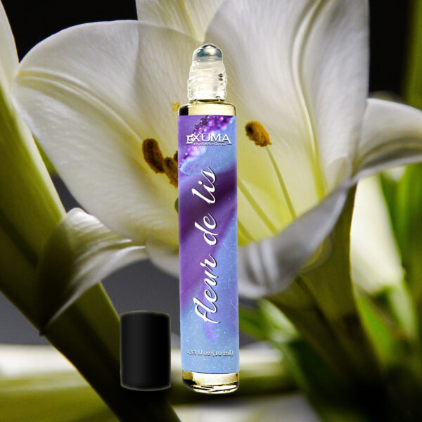 Fleur de Lis - Image 4