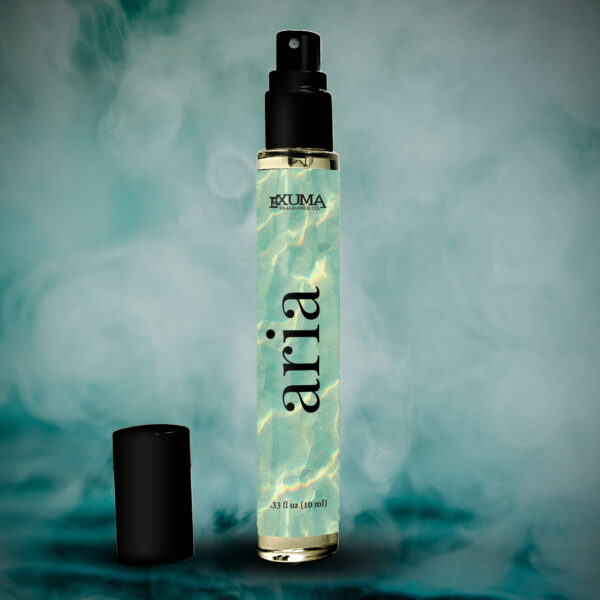 Aria - Image 6