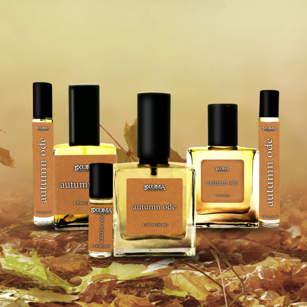 Autumn Ode - Image 2