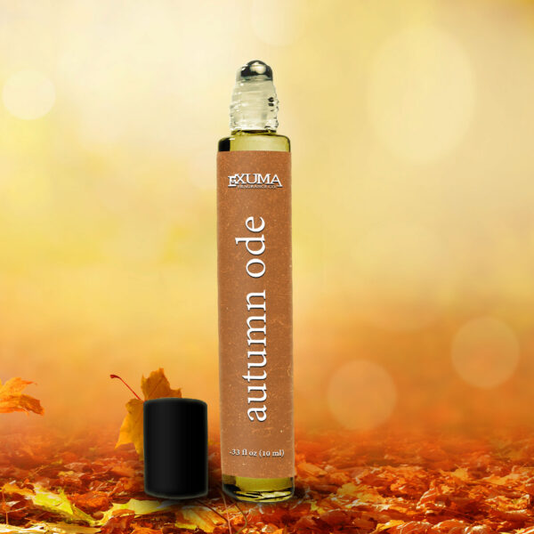 Autumn Ode - Image 4