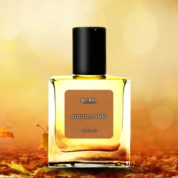 Autumn Ode - Image 5