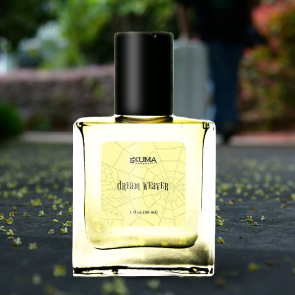Dream Weaver - Image 5