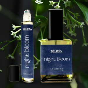 Night Bloom