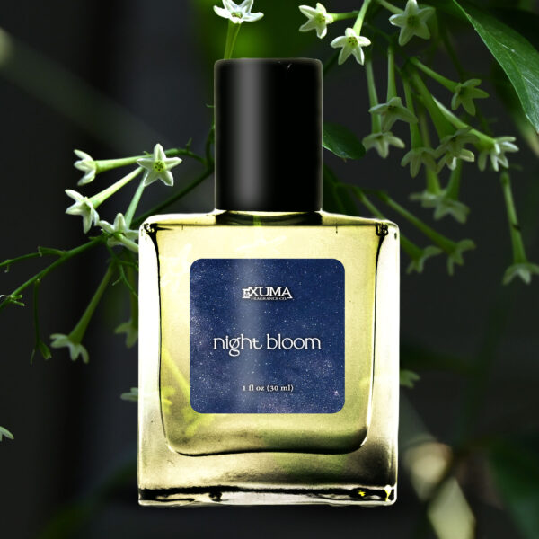 Night Bloom - Image 5