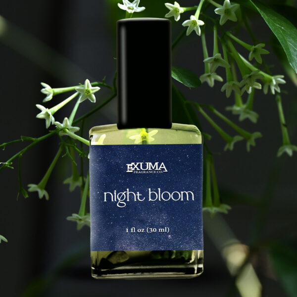 Night Bloom - Image 7