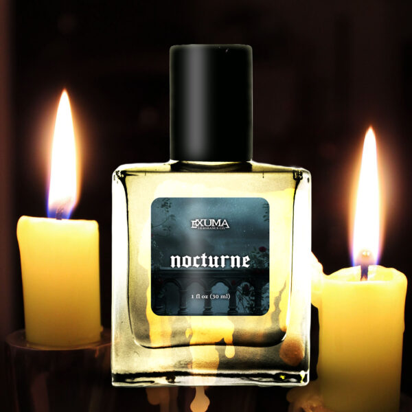 Nocturne - Image 5