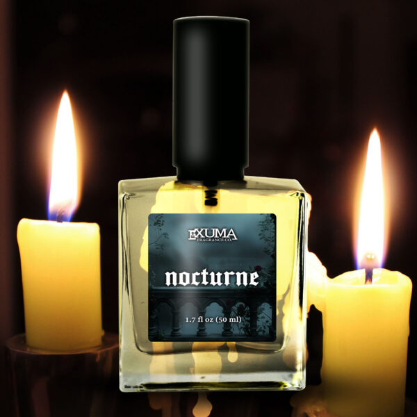 Nocturne - Image 8
