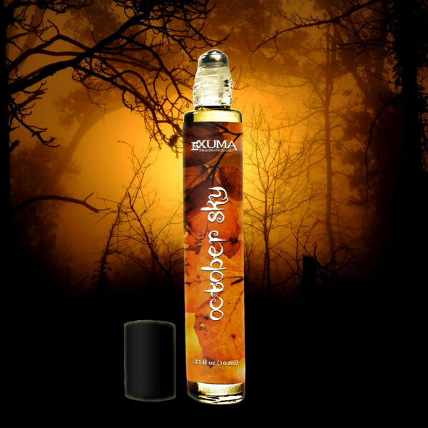 October Sky - Image 4