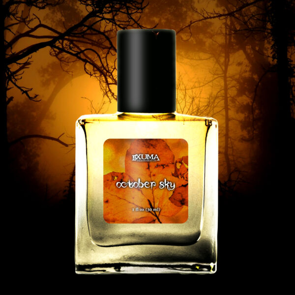 October Sky - Image 5