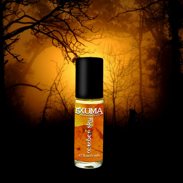October Sky - Image 3