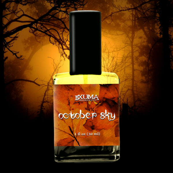 October Sky - Image 7