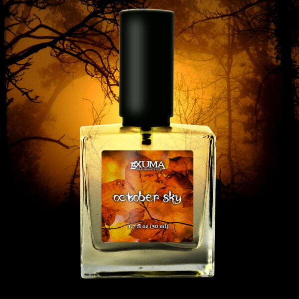 October Sky - Image 8