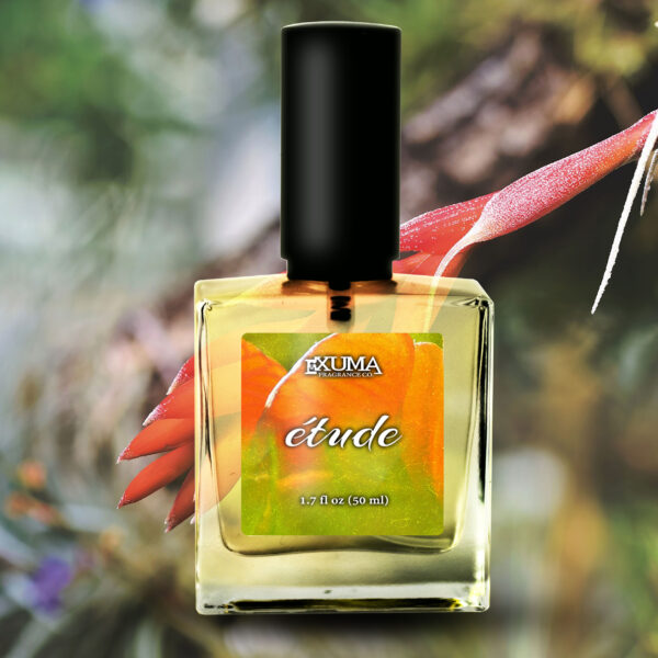 Étude - Image 8