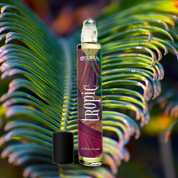 Tropic - Image 4