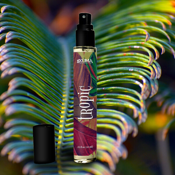 Tropic - Image 6