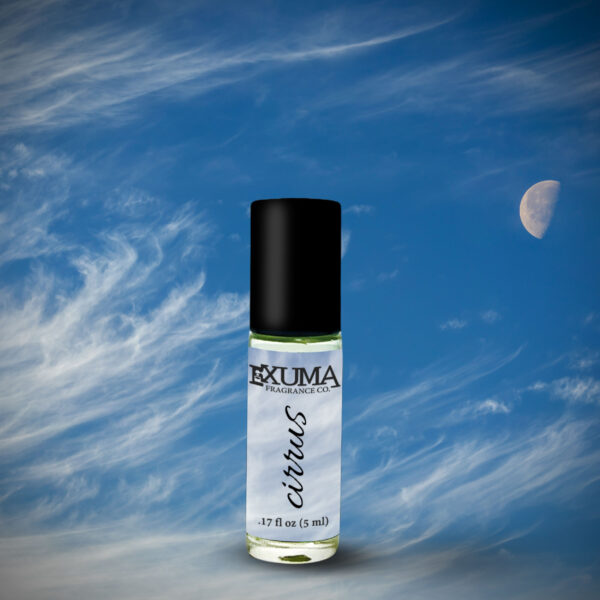 Cirrus - Image 3
