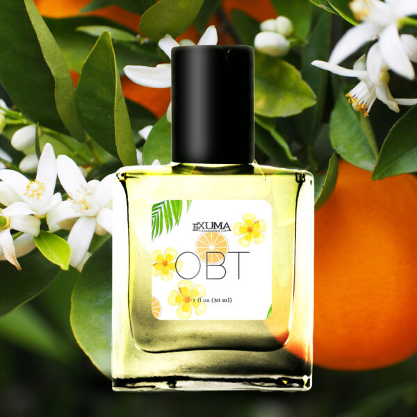 OBT - Image 5