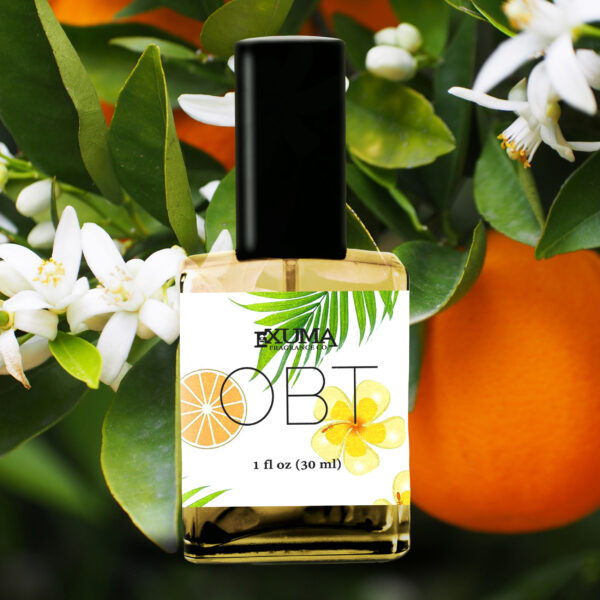 OBT - Image 7