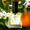 OBT - Image 8