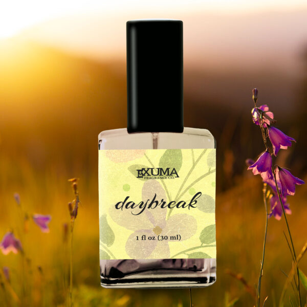 Daybreak - Image 7