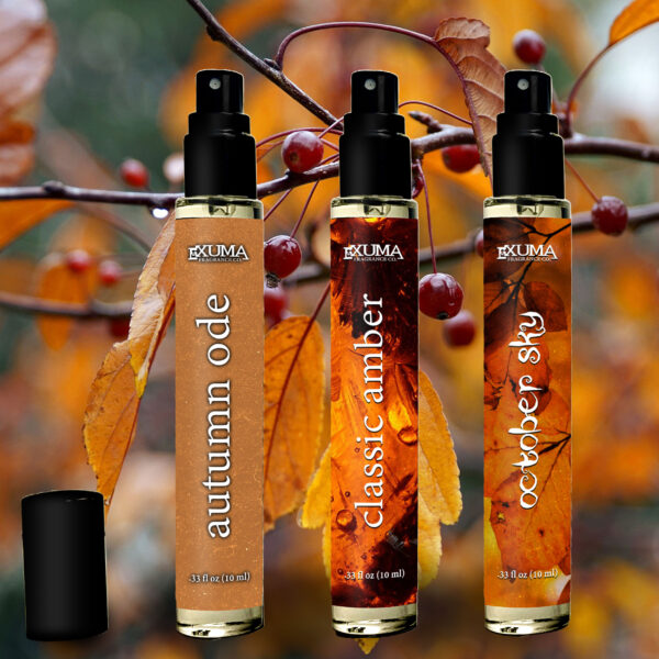 Fall Ambers Collection - Image 2
