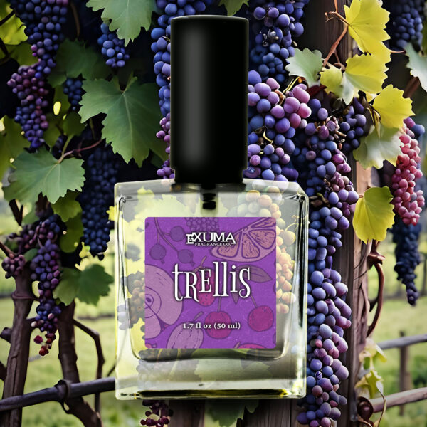 Trellis - Image 8