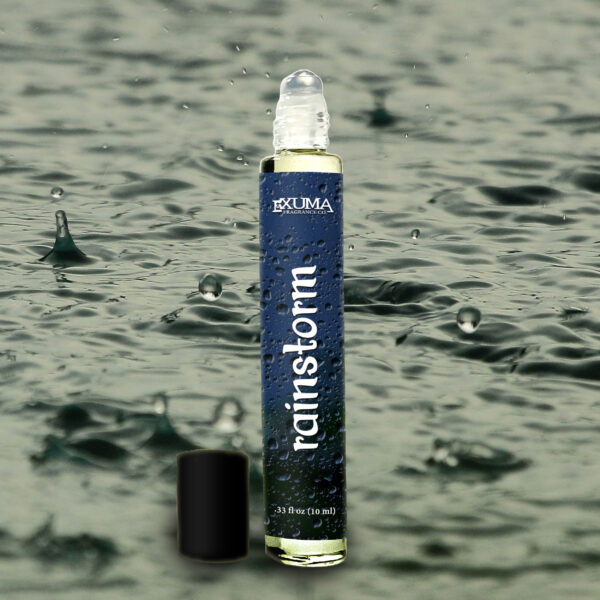 Rainstorm - Image 4