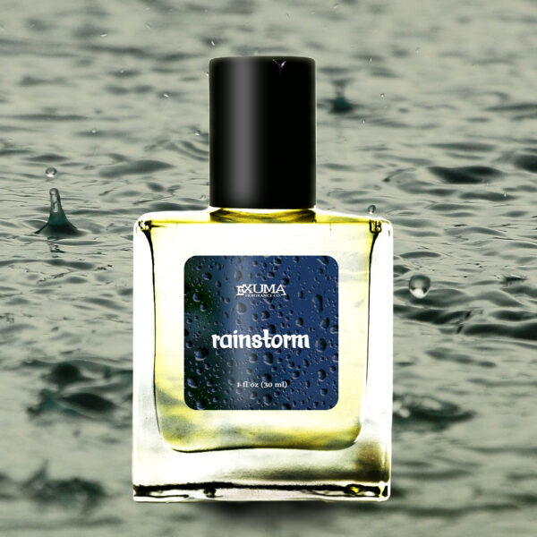 Rainstorm - Image 5