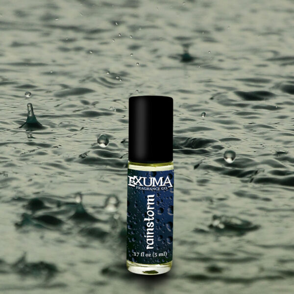 Rainstorm - Image 3
