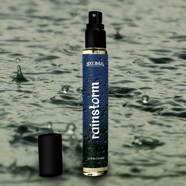 Rainstorm - Image 6