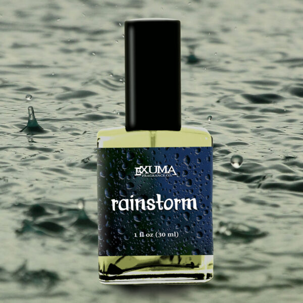 Rainstorm - Image 7