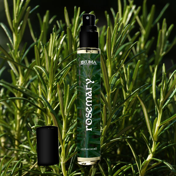 Rosemary - Image 6