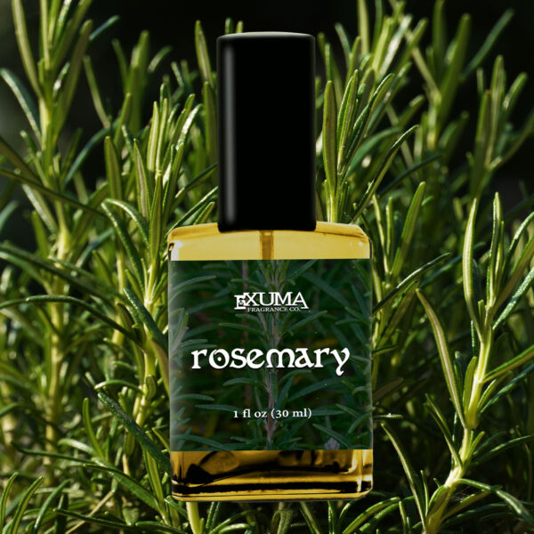 Rosemary - Image 7